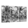 Obraz na płótnie 120x80 - Mroczna Ścieżka Tropików - czarno biała fotografia, ścieżka pośród palm