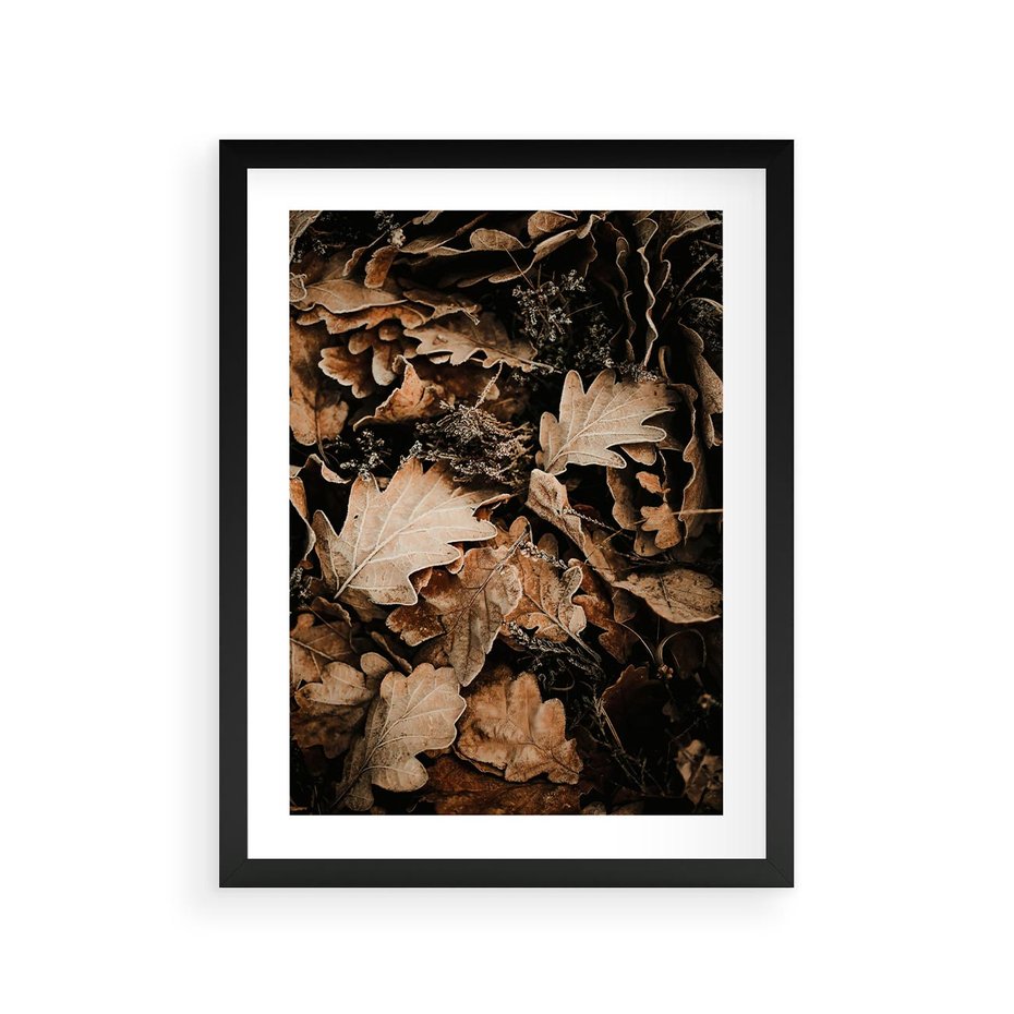 Plakat w ramie 30x40 - Jesienna Melodia: Liście i Szyszki - suche liście, szyszki - rama czarna