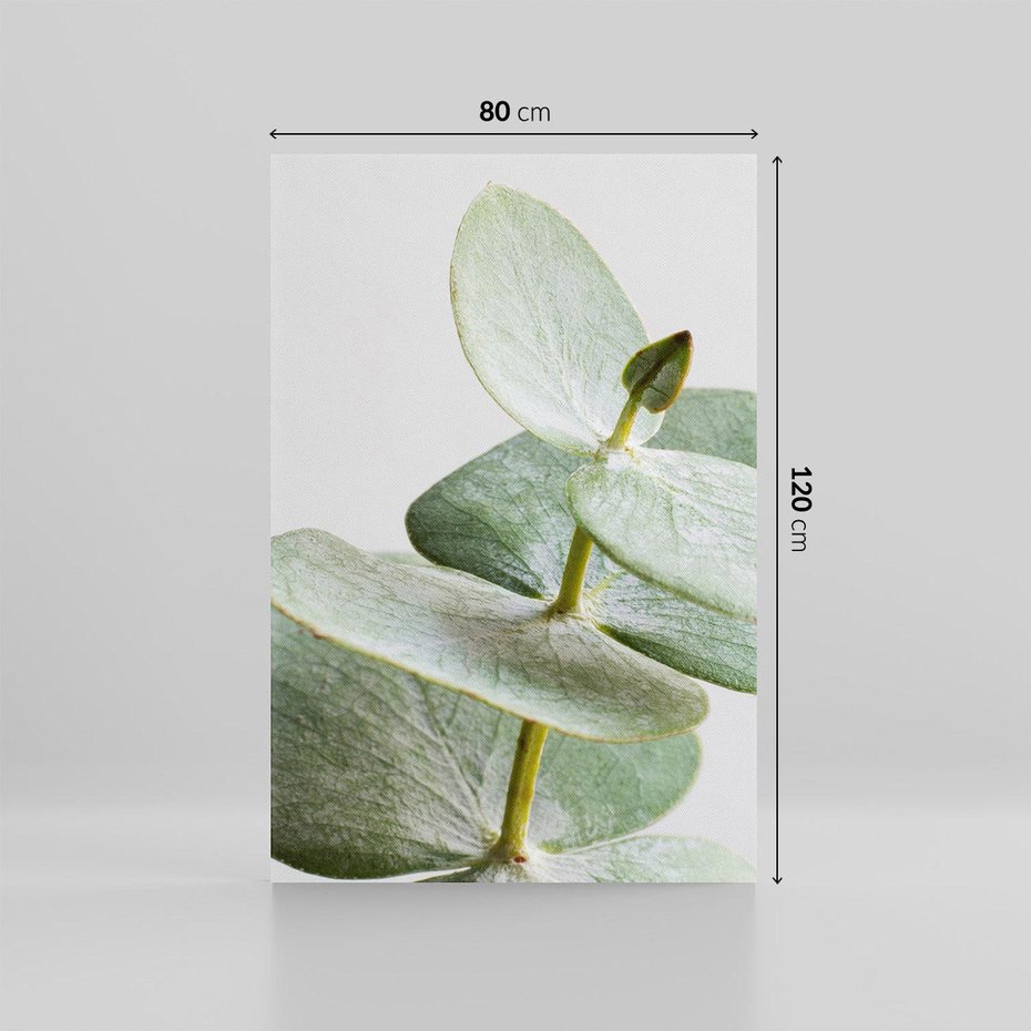 Obraz na płótnie 80x120 - Eukaliptusowa zieleń - eukaliptus, zielone