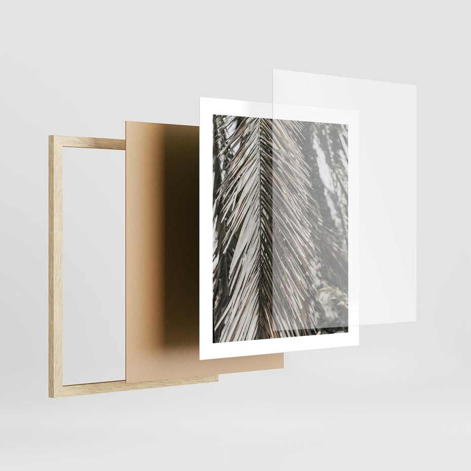 Plakat w ramie 40x50 - Egzotyczne Gałęzie - suche gałęzie, liście palmy - rama drewno