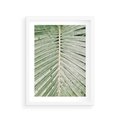 Plakat w ramie 30x40 - Jasna Zieleń Palmy - liść palmy, zbliżenie - rama biała