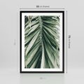 Plakat w ramie 50x70 - Spokojna Piękność Palmowych Liści - palma, liście palmy - rama czarna