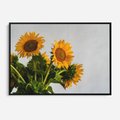 Obraz w ramie 100x70 - Słoneczna Radość - fotografia, żółte słoneczniki - rama czarna