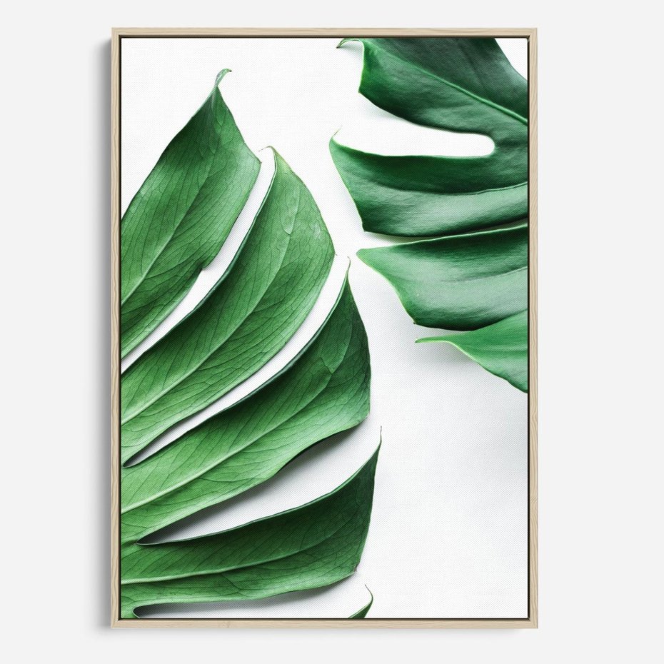 Obraz w ramie 70x100 - Monstera - Liście Kwiaty - monstera, liście - rama drewno
