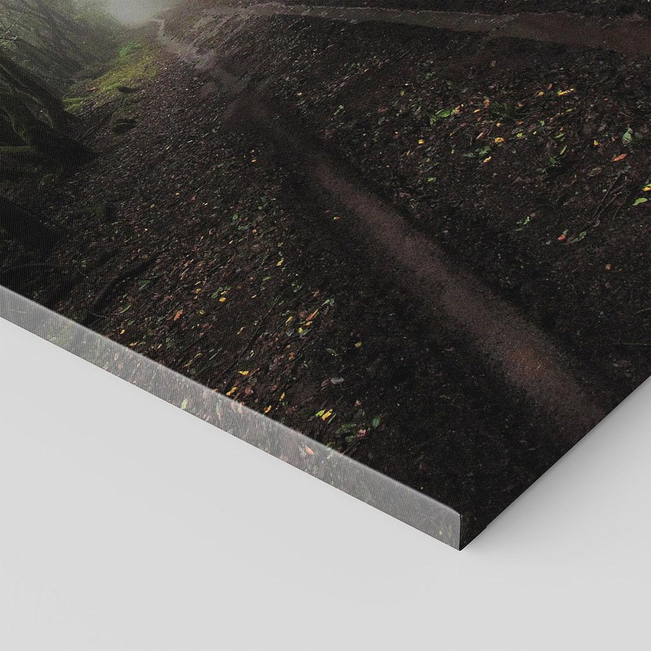 Obraz na płótnie 50x70 - Urok Drogi - las, droga