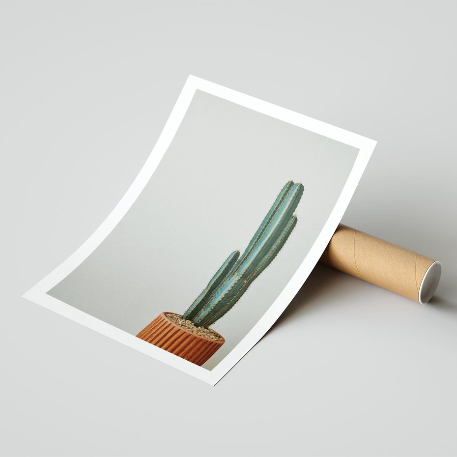 Plakat bez ramy 40x50 - Zieleń i Subtelność - kaktusy, liście