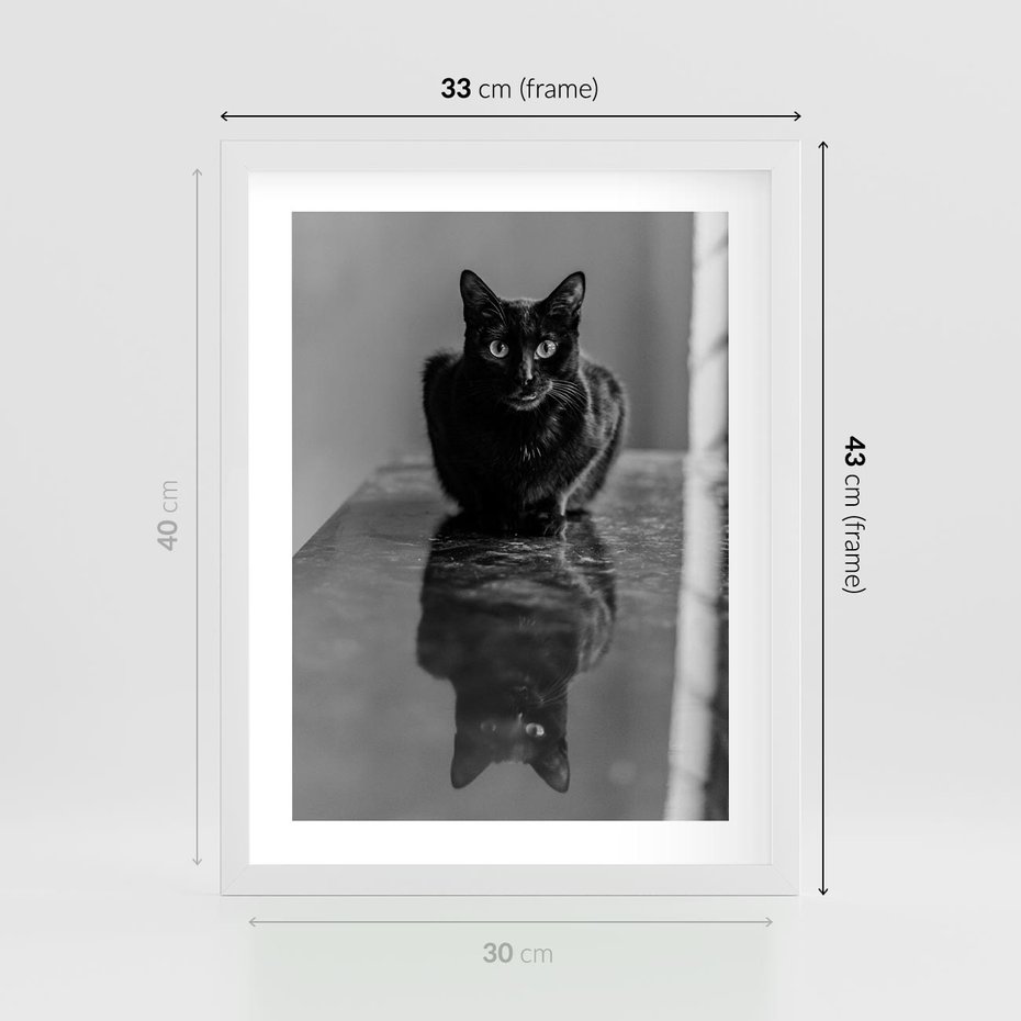 Plakat w ramie 30x40 - Kocie Oczy - kot, czarno białe zdjęcie - rama biała