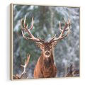 Obraz w ramie 80x80 - Monarcha Zimowej Dziczy - jeleń, zima - rama drewno
