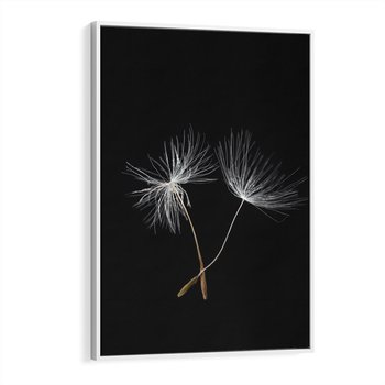 Obraz w ramie 80x120 - Delikatność Wiatru - dmuchawce, makro - rama biała