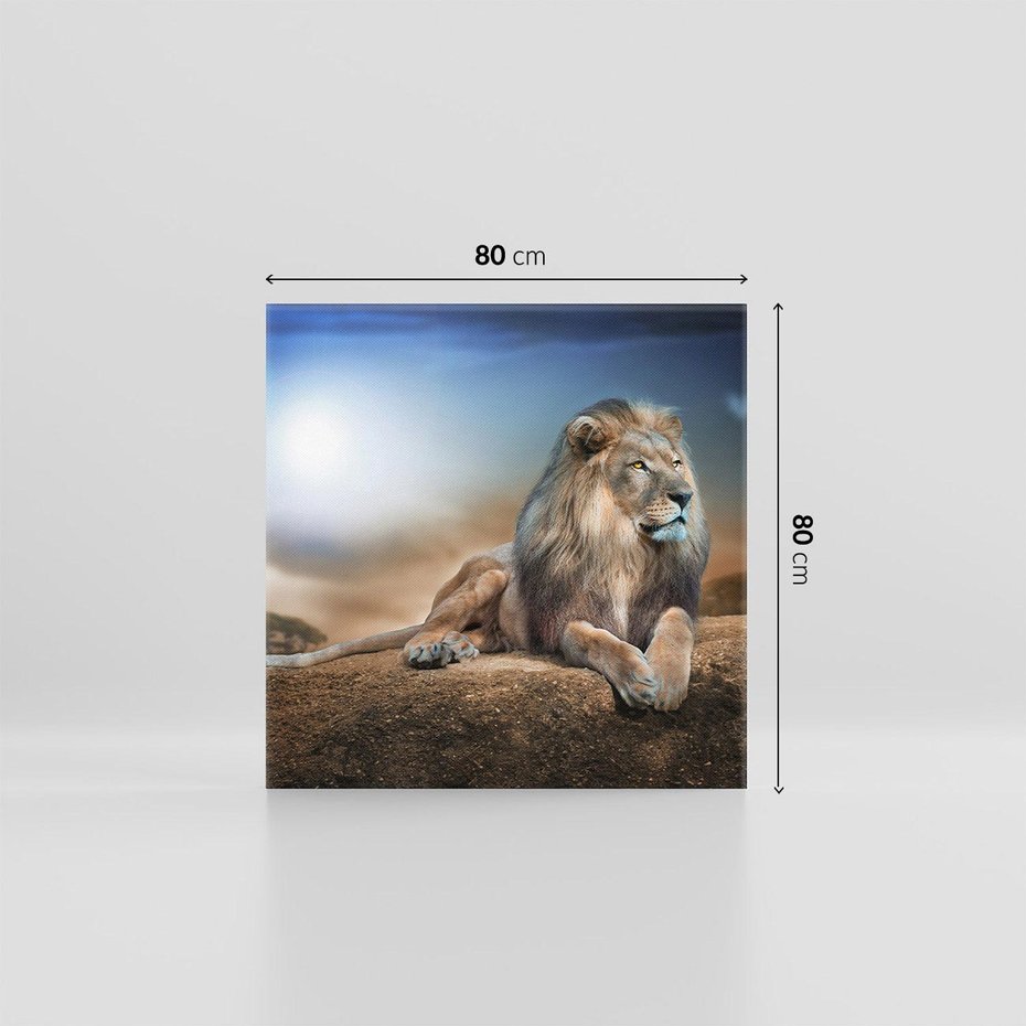 Obraz na płótnie 80x80 - Król sawanny - lew, kamień