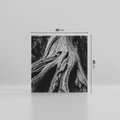 Obraz na płótnie 60x60 - Siła Natury - czarno biała fotografia, korzenie wielkiego drzewa