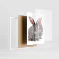 Plakat w ramie 50x70 - Uroczy królik wśród natury - królik, zając - rama biała