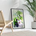 Plakat bez ramy 30x40 - Spa pełne kwiatów i relaksu - spa, kwiat