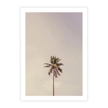 Plakat bez ramy 30x40 - Samotna Palma pod Niebem - samotna palma, na tle nieba