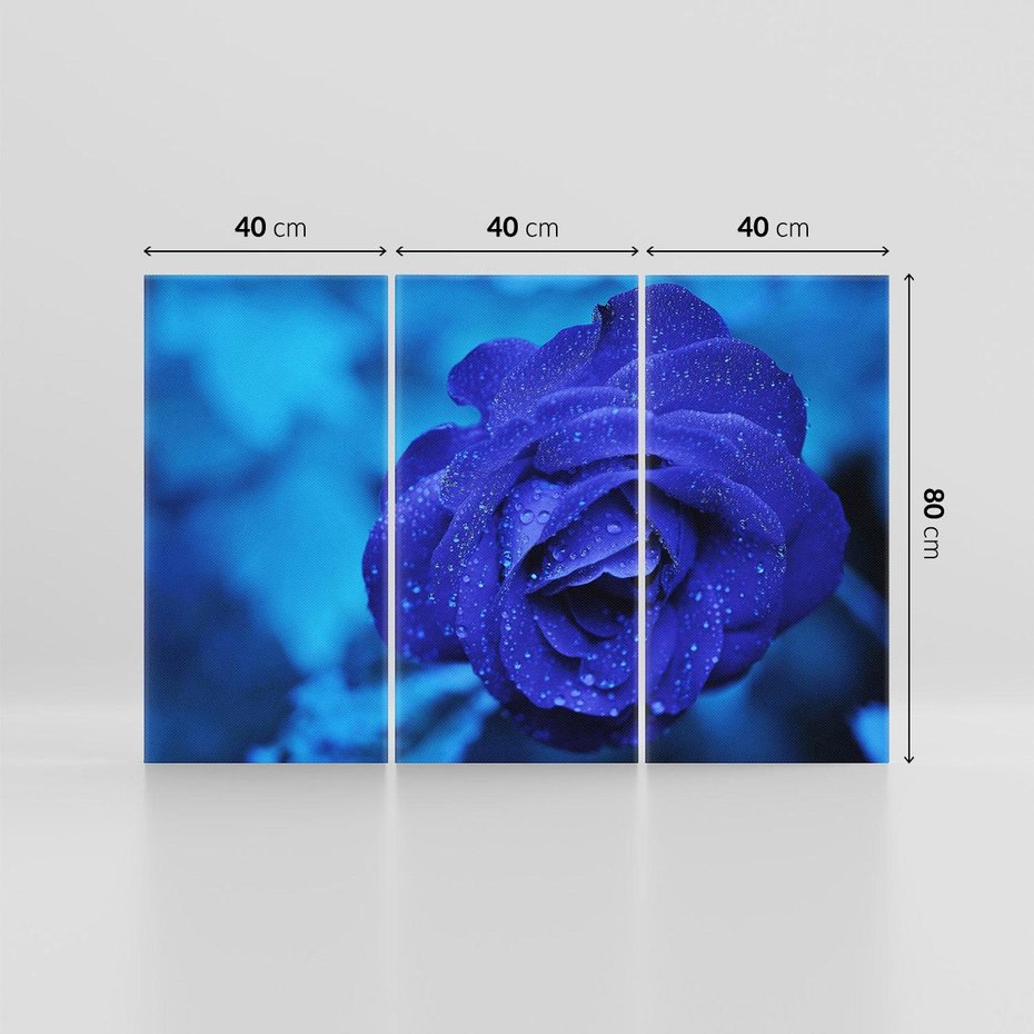 Obraz na płótnie 120x80 - Róża w pełnym rozkwicie - róża, kwiat