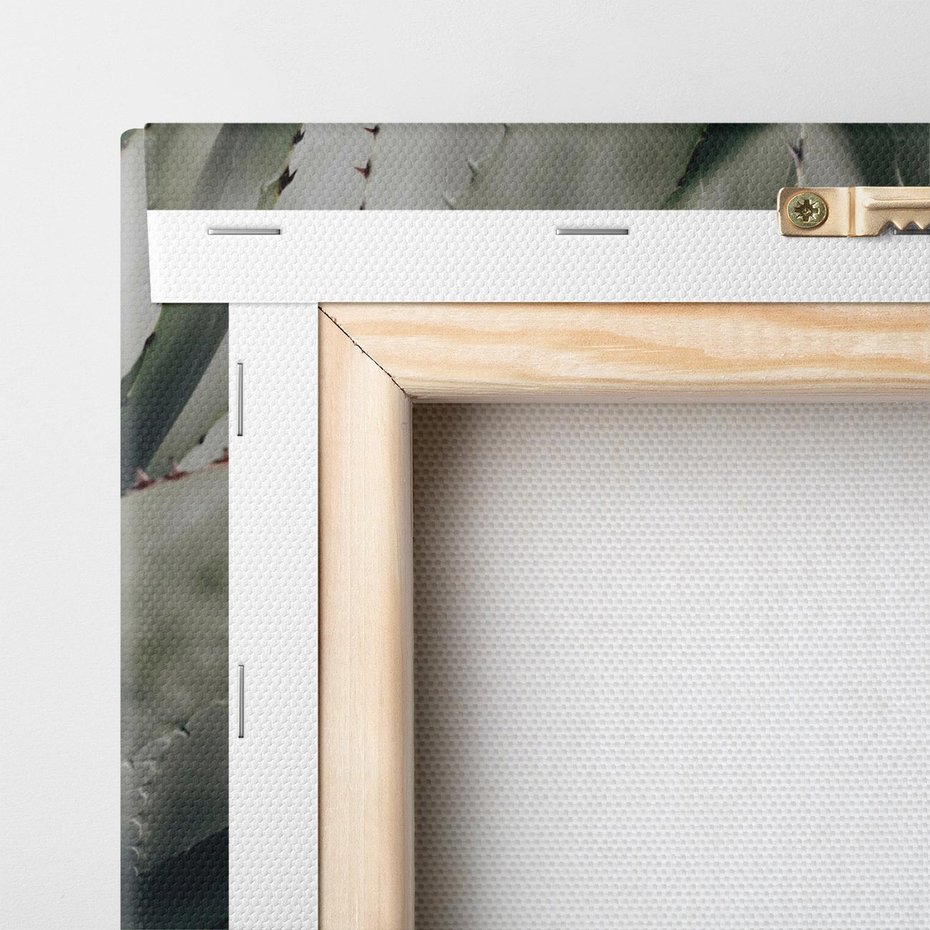 Obraz na płótnie 60x60 - Sukulenty wśród kaktusów - sukulenty, kaktusy