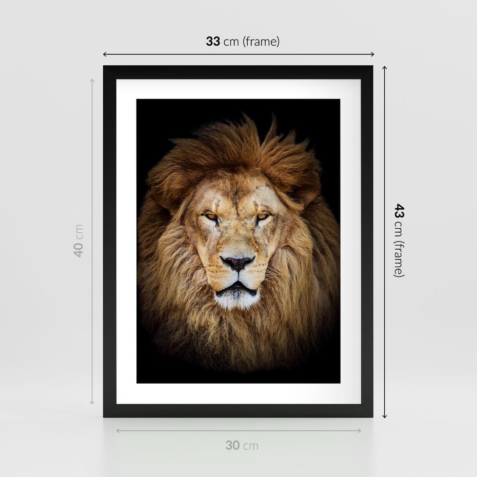 Plakat w ramie 30x40 - Król zwierząt w majestatycznym stylu - lew, król - rama czarna