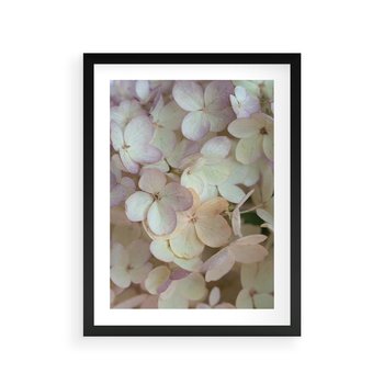 Plakat w ramie 30x40 - Kwiatowy taniec - kwiaty, hortensje - rama czarna