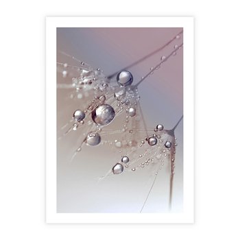 Plakat bez ramy 21x30 - Delikatne Natchnienie - krople, dmuchawce