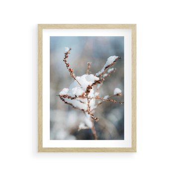 Plakat w ramie 50x70 - Zimowy Urok Natury - gałązki pod śniegiem, natura - rama drewno