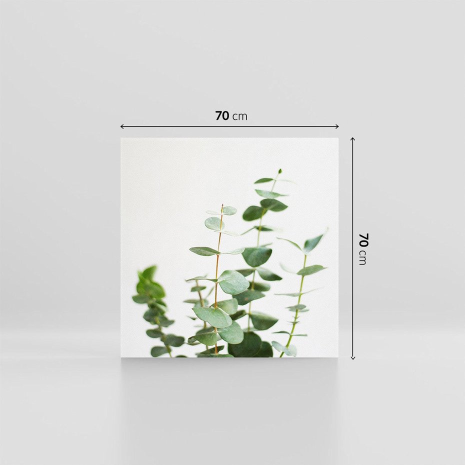 Obraz na płótnie 70x70 - Żywa eukaliptusowa zieleń - eukaliptus, zielone