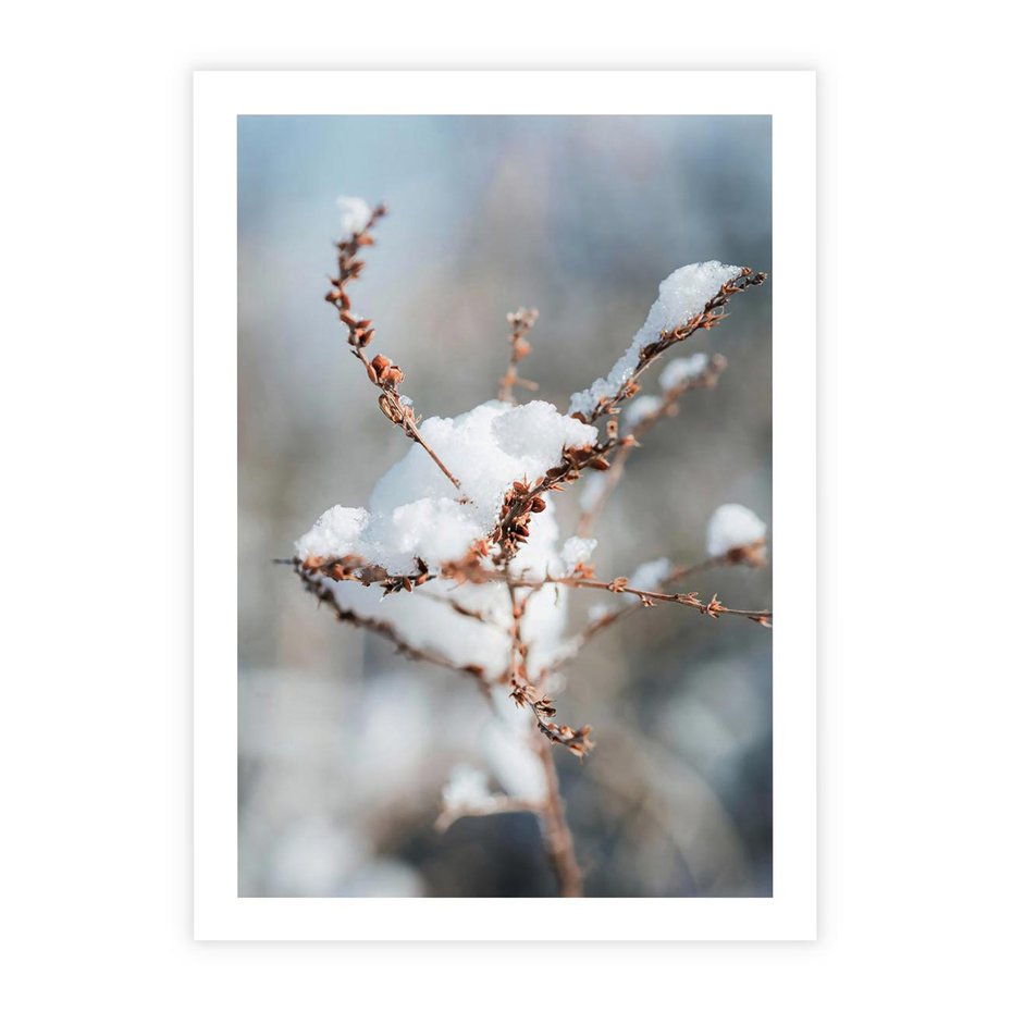 Plakat bez ramy 40x50 - Zimowy Urok Natury - gałązki pod śniegiem, natura