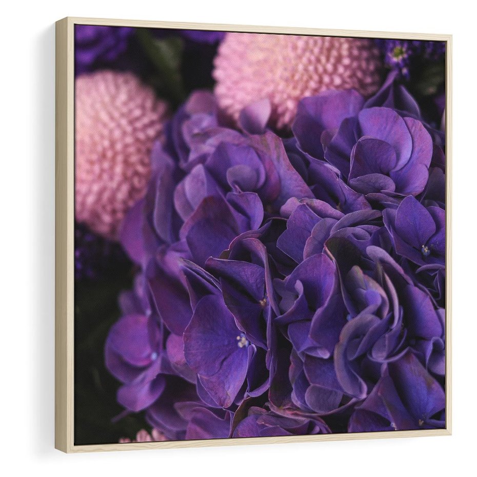 Obraz w ramie 80x80 - Fioletowa hortensja - kwiaty, hortensja - rama drewno
