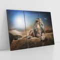 Obraz na płótnie 120x80 - Król sawanny - lew, kamień