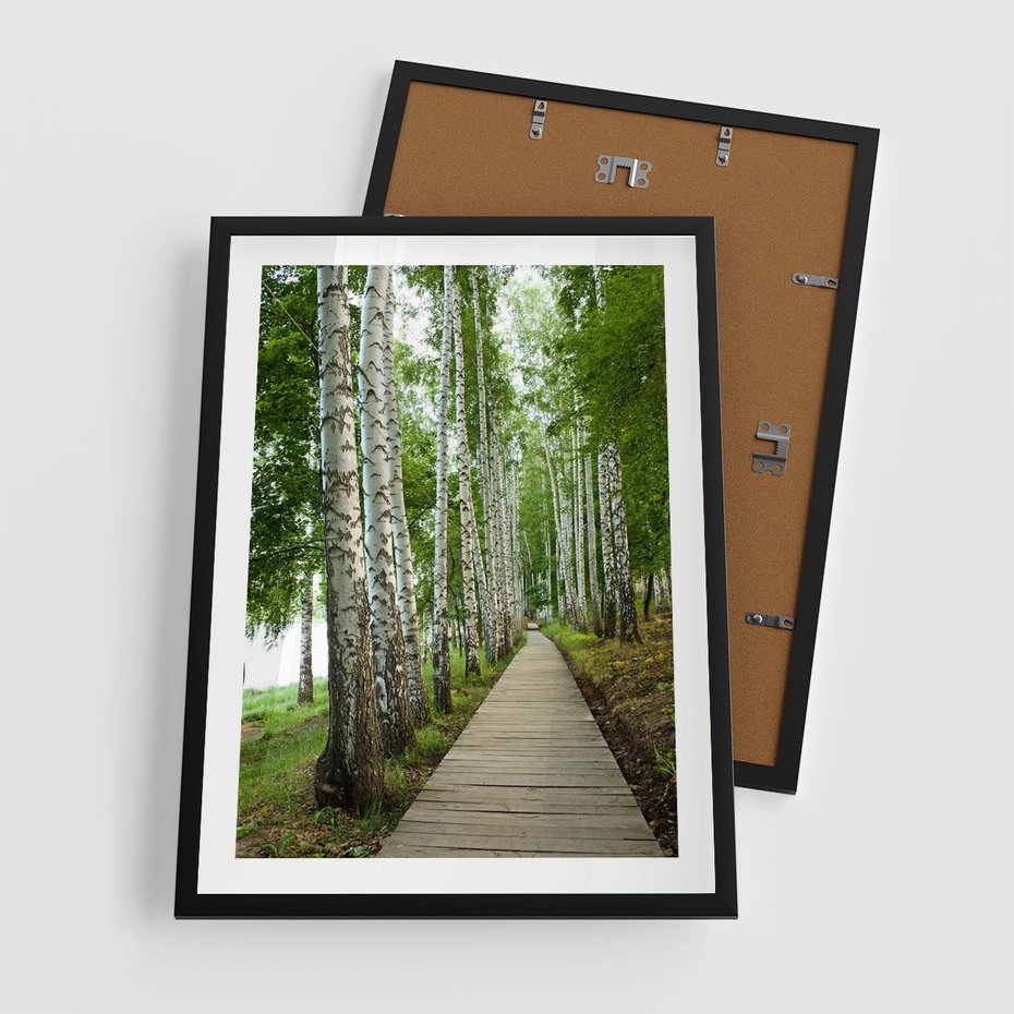 Plakat w ramie 50x70 - Spacer ścieżką przez brzozowy las - las, ścieżka - rama czarna