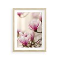 Plakat w ramie 30x40 - Urok Magnolii - magnolie, kwiaty - rama drewno