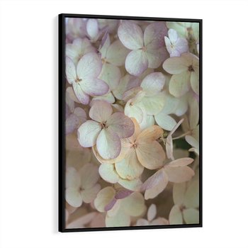 Obraz w ramie 70x100 - Kwiatowy taniec - kwiaty, hortensje - rama czarna