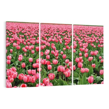 Obraz na płótnie 120x80 - Tulipanowe Elegancja - tulipany, kwiat