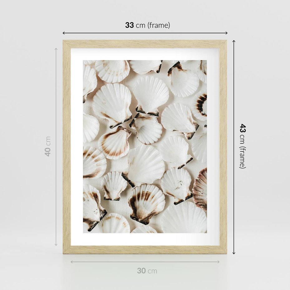Plakat w ramie 30x40 - Białe Muszle - białe muszle, ujęcie z góry - rama drewno