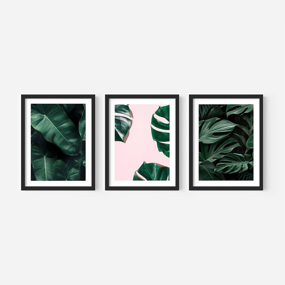 Zestaw obrazy w ramie 30x40 galeria - Monstera, liście, tło, tropikalne - rama czarna