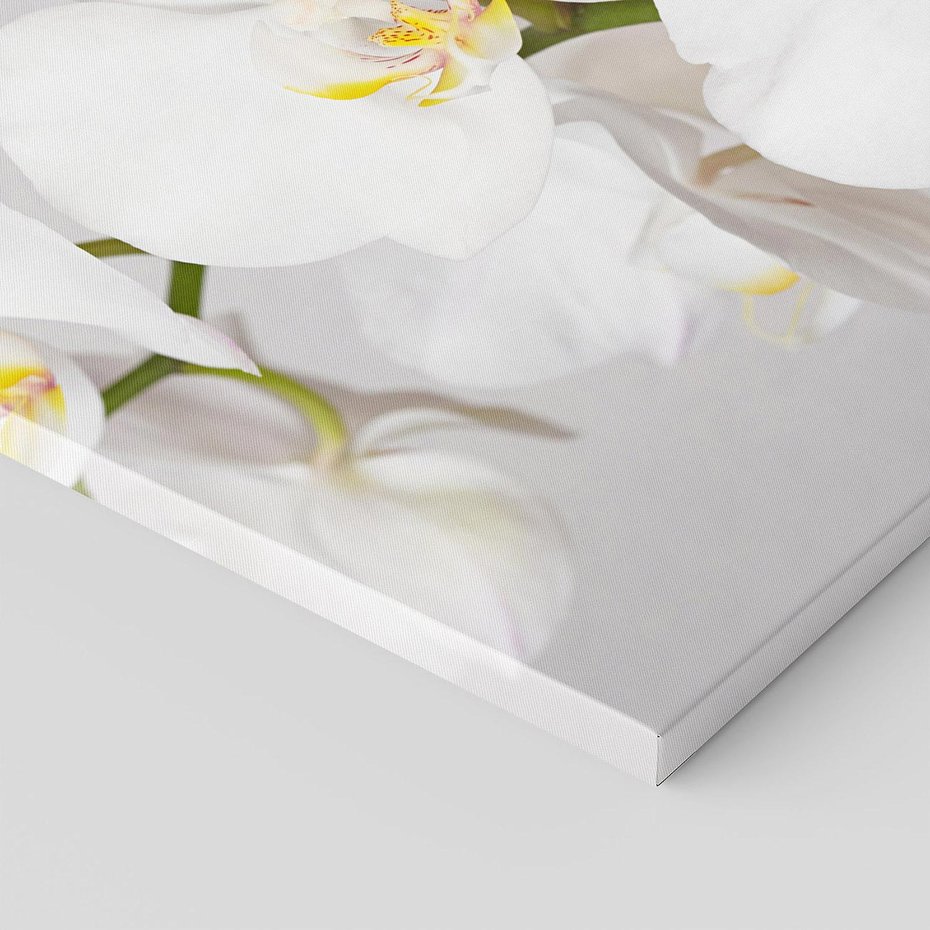 Obraz na płótnie 80x80 - kwiatowy urok - orchidea, kwiat