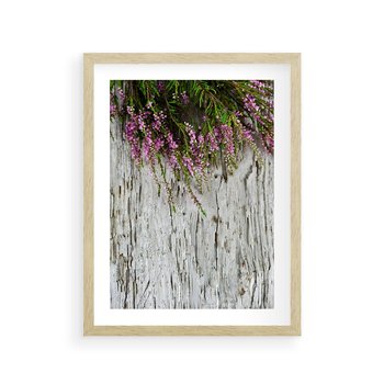 Plakat w ramie 40x50 - Fioletowe Wrzosy - wrzosy, fiolet - rama drewno
