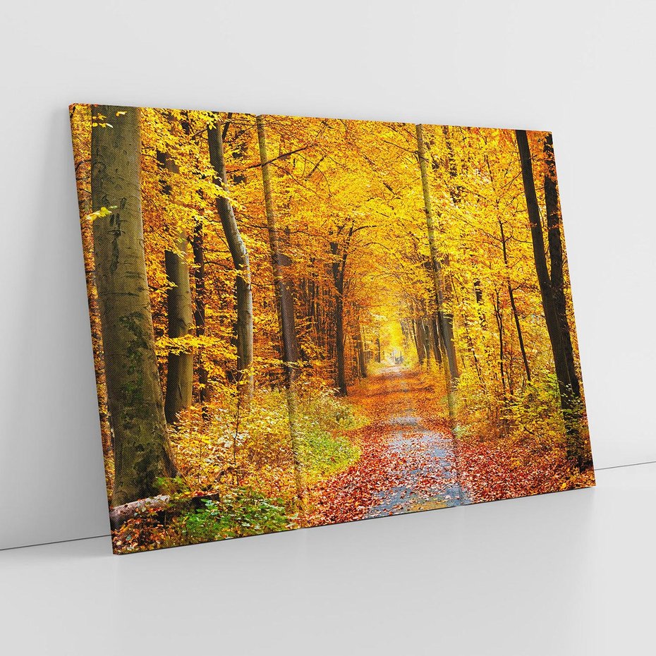 Obraz na płótnie 120x80 - Jesień w lesie - las, drzewa