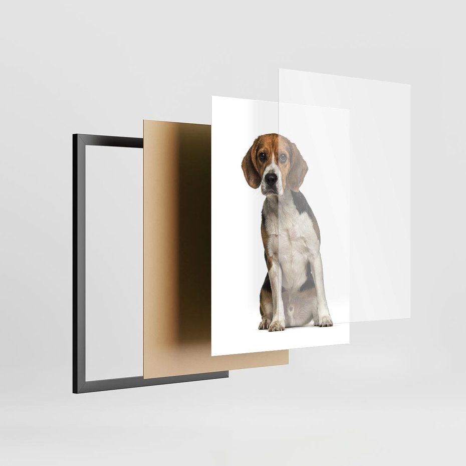 Plakat w ramie 50x70 - Wierność i radość - pies, piesek - rama czarna