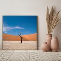 Obraz w ramie 80x80 - Słońce i Suche Drzewo - pustynia, suche - rama drewno