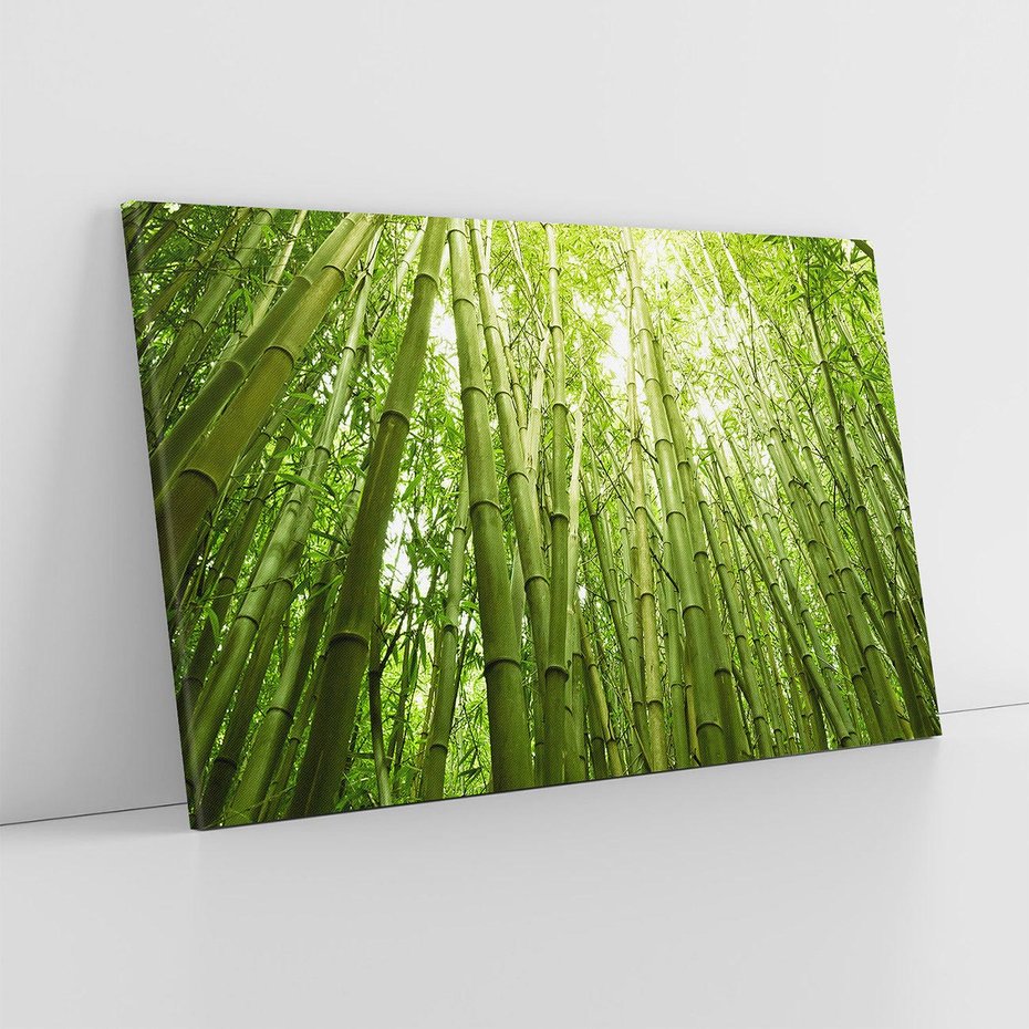 Obraz na płótnie 120x80 - Siła Natury - drzewa, las