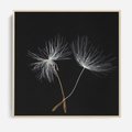 Obraz w ramie 50x50 - Delikatność Wiatru - dmuchawce, makro - rama drewno