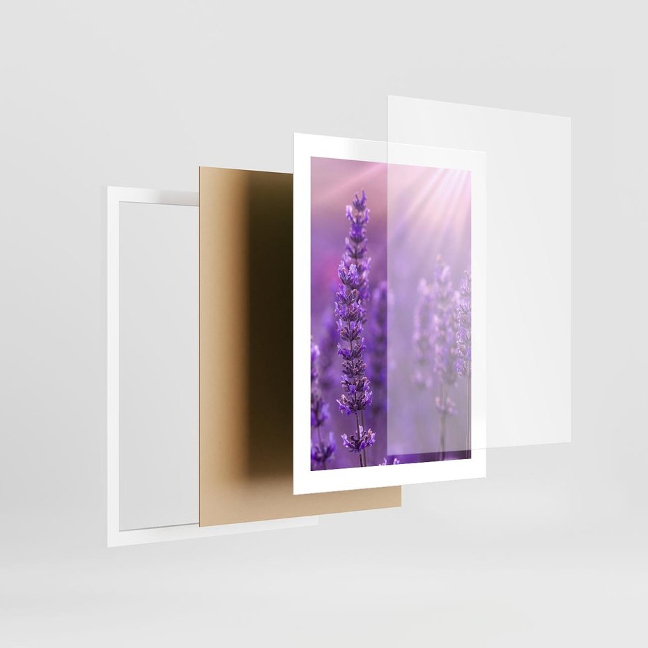 Plakat w ramie 30x40 - Fioletowa harmonia lawendy - lawenda, fiolet - rama biała