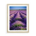 Plakat w ramie 50x70 - Malownicze Pole Lawendy - lawenda, pole - rama drewno