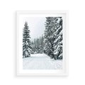 Plakat w ramie 40x50 - Magia Zimy na Obrazie - las, zima - rama biała