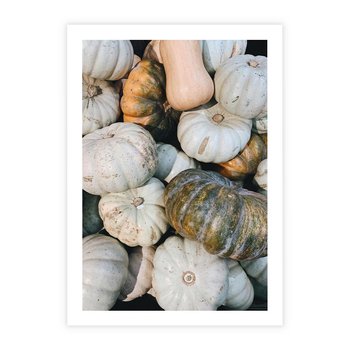 Plakat bez ramy 50x70 - Minimalizm Jesieni - dynie, białe