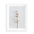 Plakat w ramie 50x70 - Minimalistyczna Gałązka Bawełny - bawełna, gałązka bawełny - rama biała