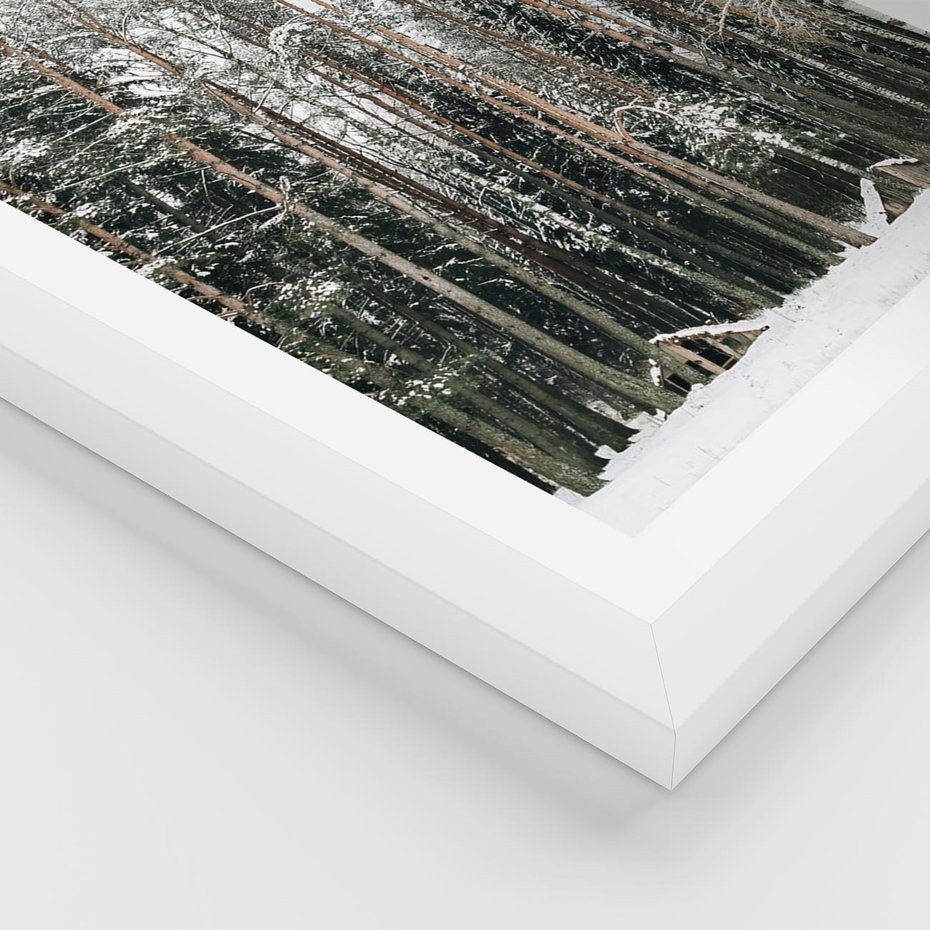 Plakat w ramie 40x50 - Sypiący Śnieg - las w zimie, drzewa pod śniegiem - rama biała