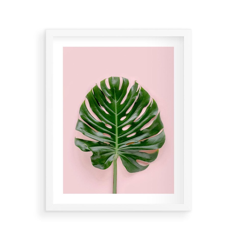 Plakat w ramie 40x50 - Monstera w Różowym Świetle - liść monstery, różowe tło - rama biała