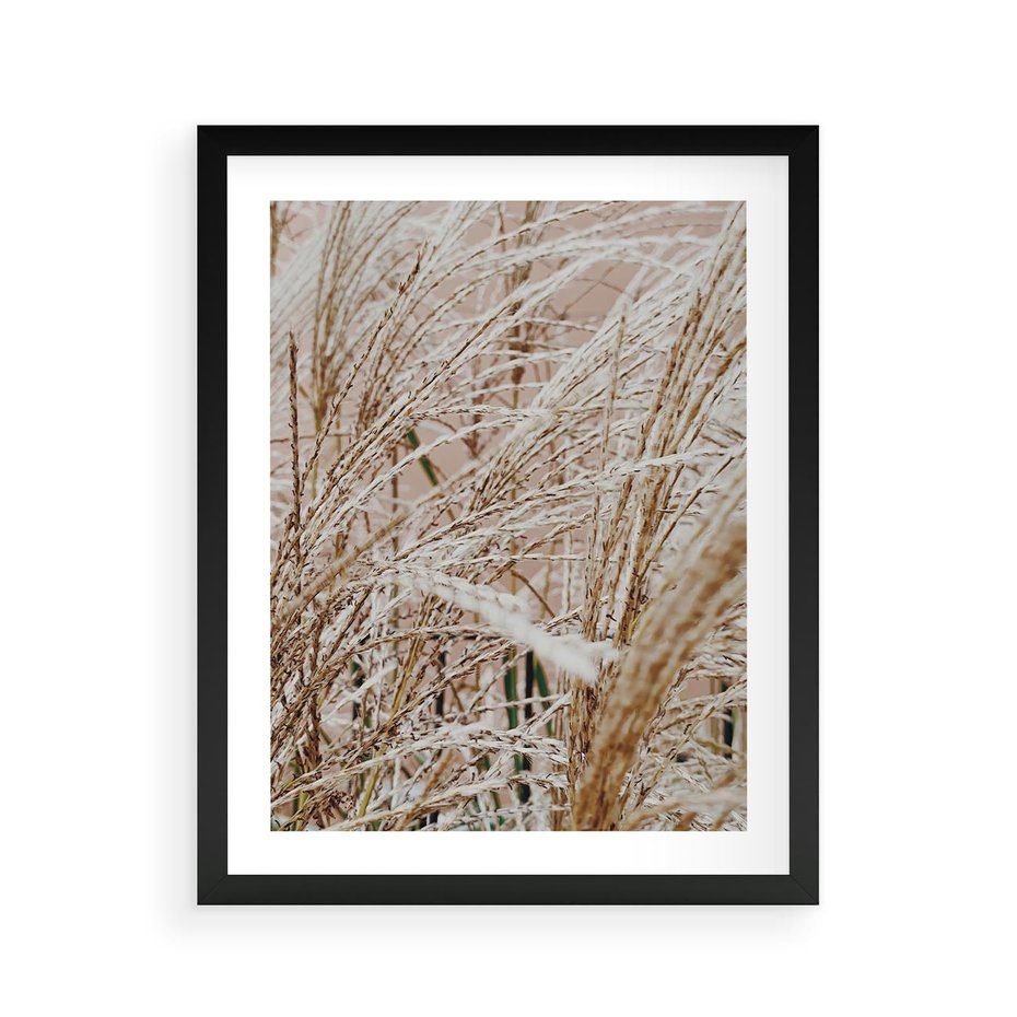 Plakat w ramie 40x50 - Beżowa Trawa - suche trawy, zbliżenie - rama czarna