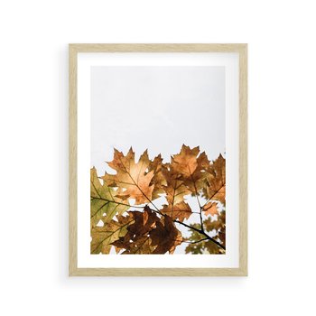 Plakat w ramie 40x50 - Suche Żółte Liście w Malowniczym Ujęciu - liście, żółte - rama drewno